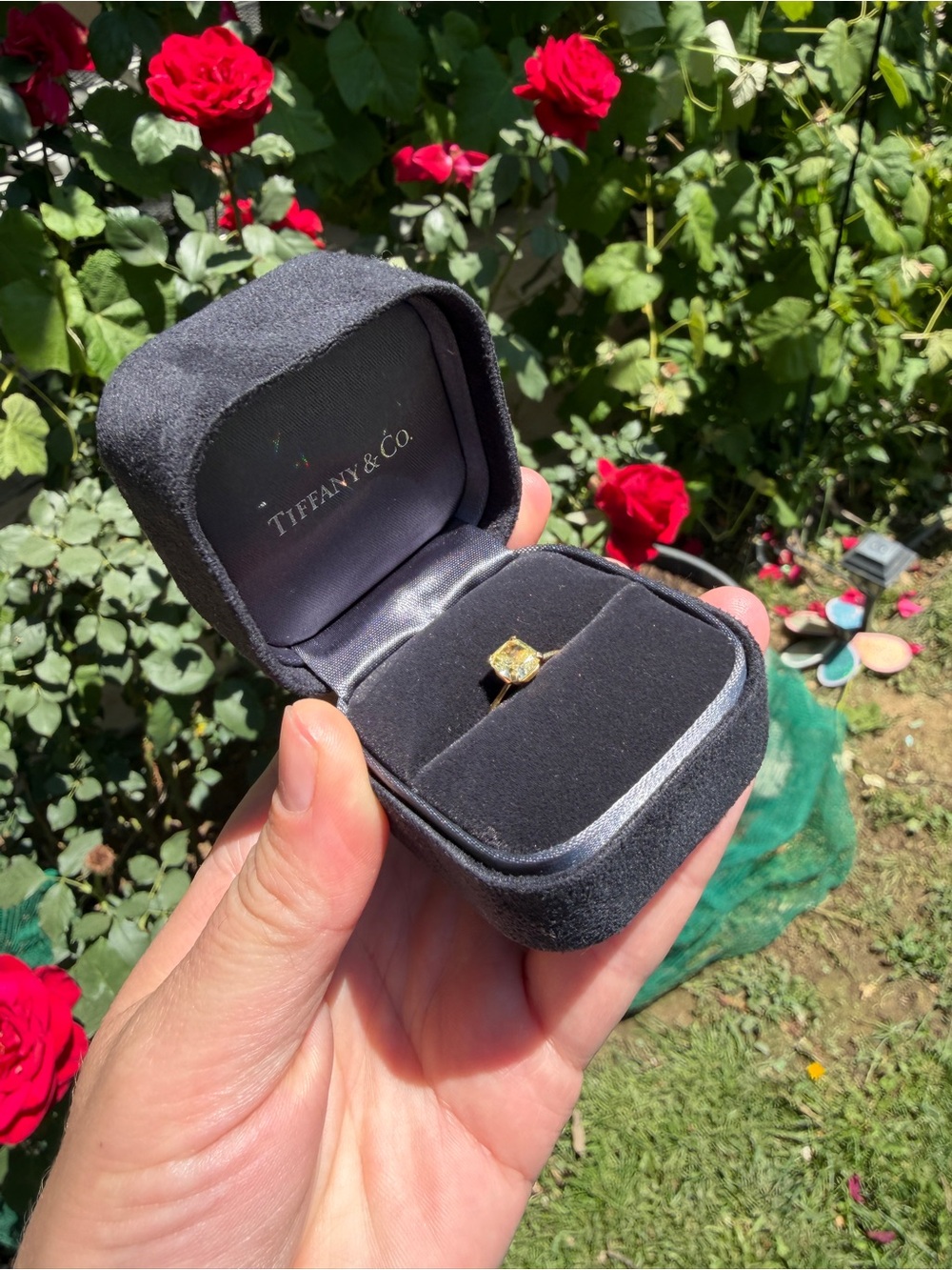 Tiffany & Co. Tiffany Tru Fancy Intense yellow diamond Gold Ring